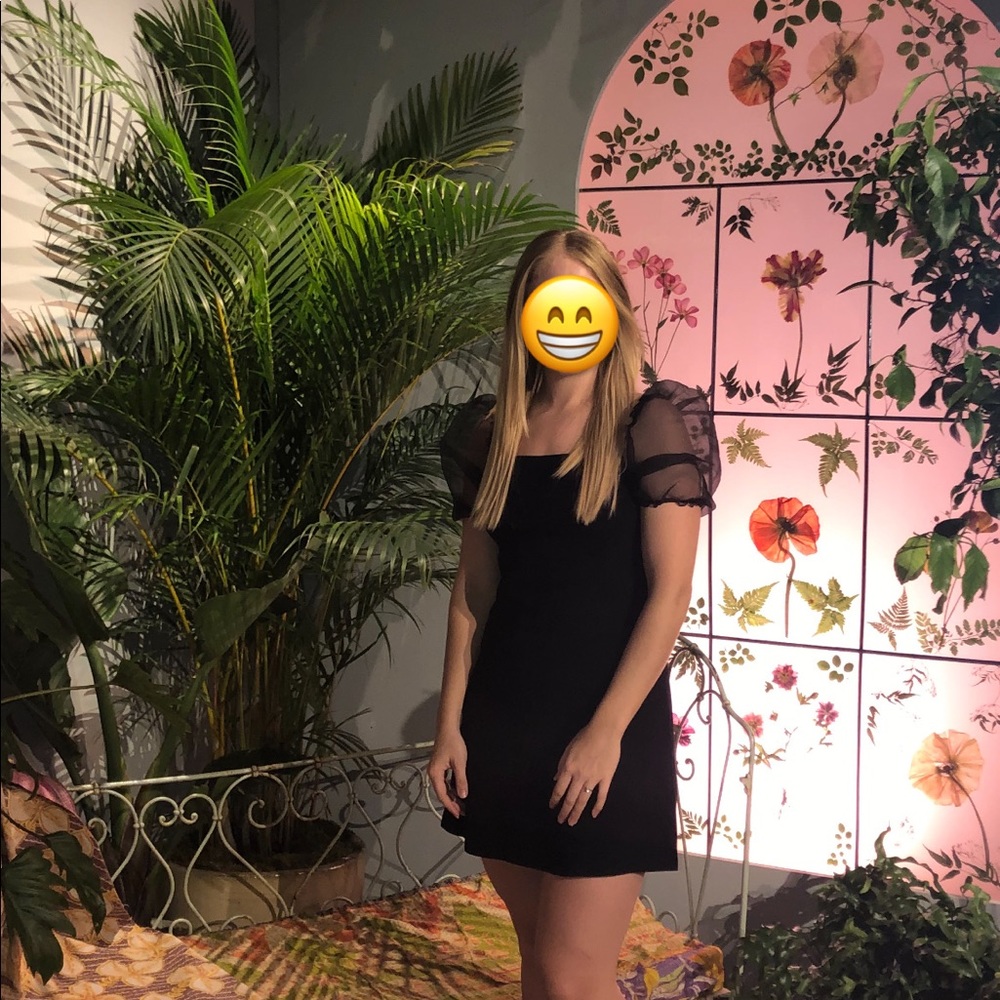 Zara Mini with Sheer Bubble Sleeve